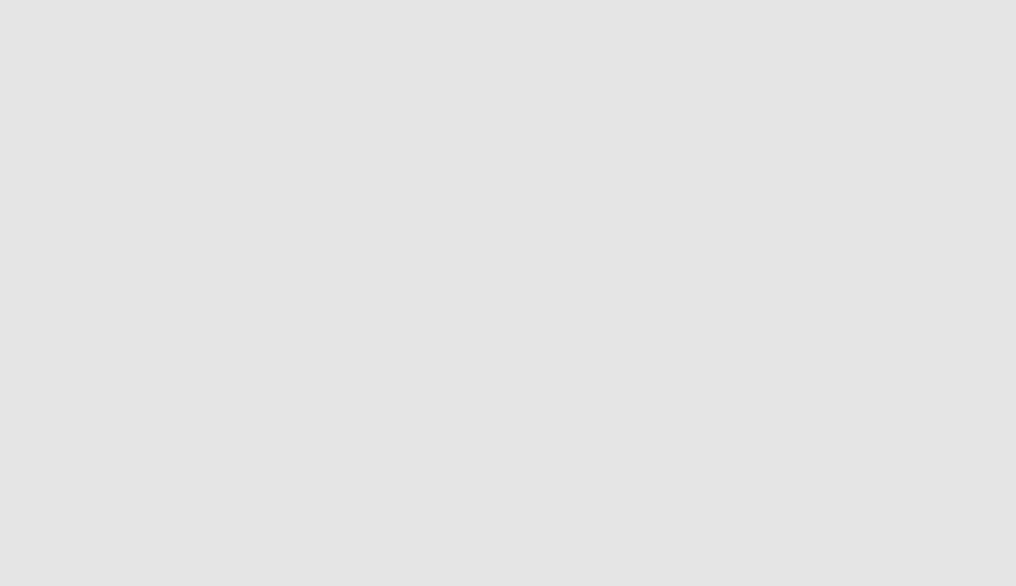 #slider-caption-172 img17
